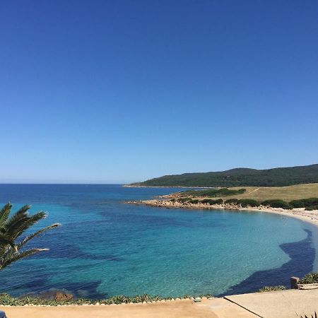Ajaccio Magnifique T2 45M2 Neuf 5 Personnes Clim Wifi Stationnement Gratuit Centre Ville Plage A 300M Eksteriør bilde