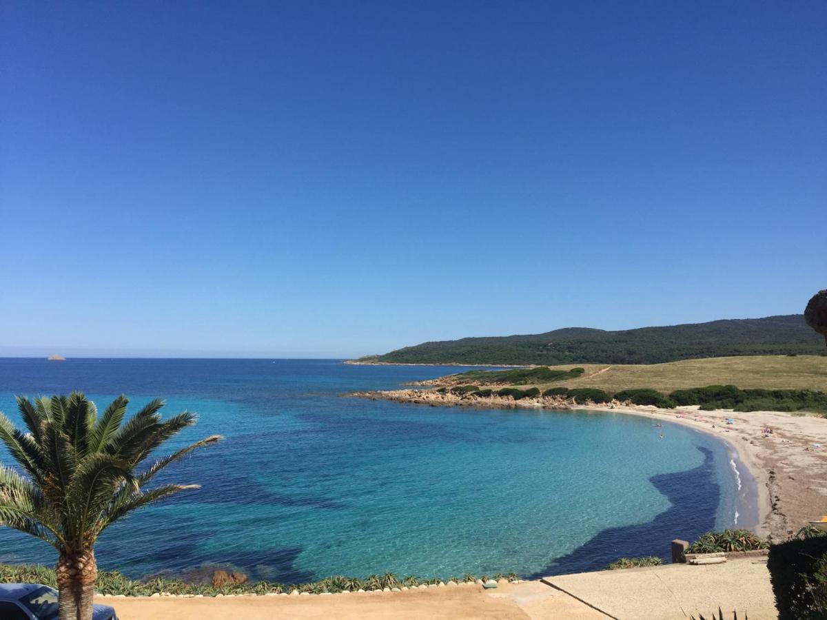 Ajaccio Magnifique T2 45M2 Neuf 5 Personnes Clim Wifi Stationnement Gratuit Centre Ville Plage A 300M Eksteriør bilde