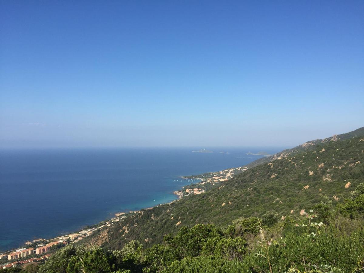 Ajaccio Magnifique T2 45M2 Neuf 5 Personnes Clim Wifi Stationnement Gratuit Centre Ville Plage A 300M Eksteriør bilde